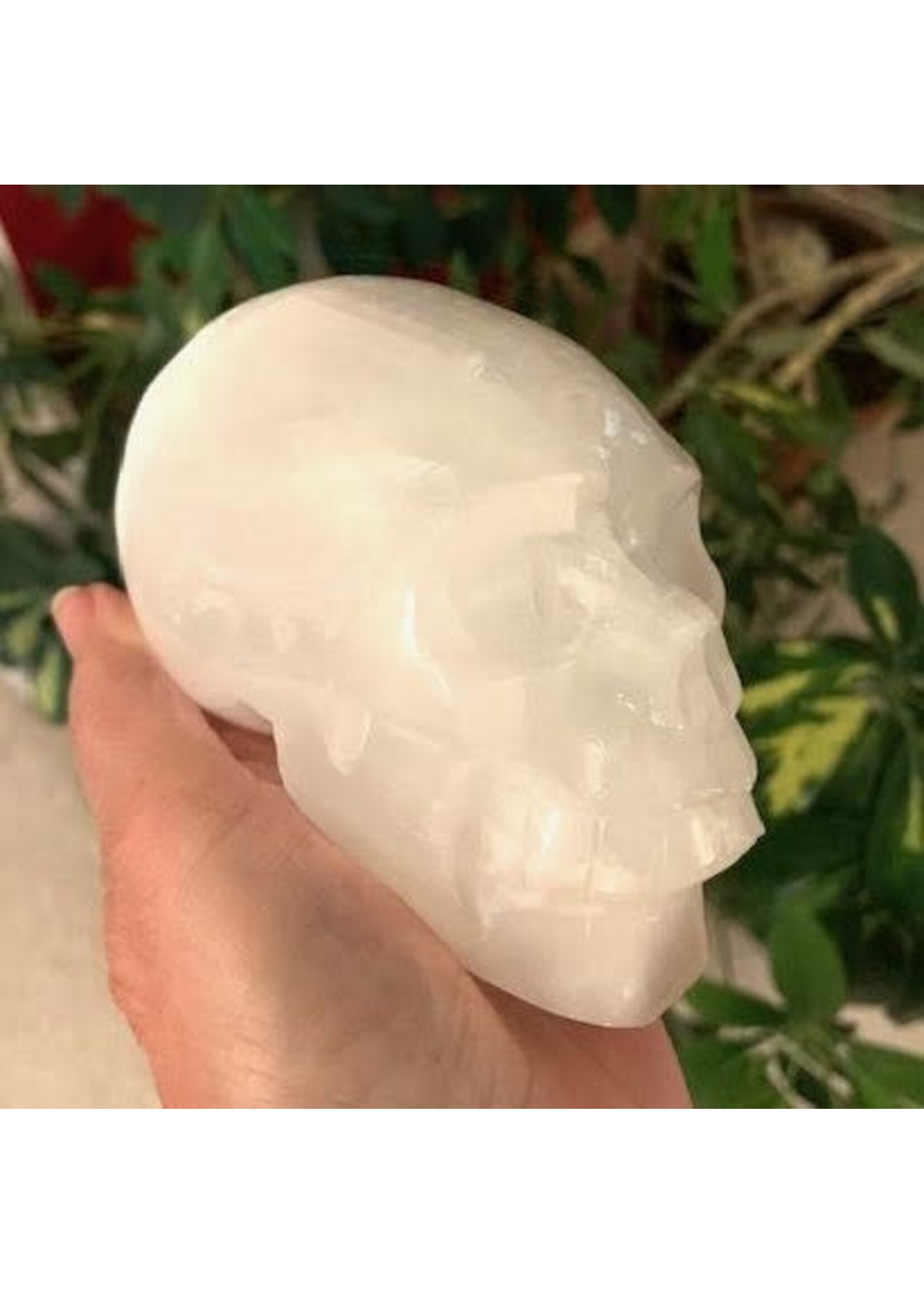 Selenite Skulls for channeling light