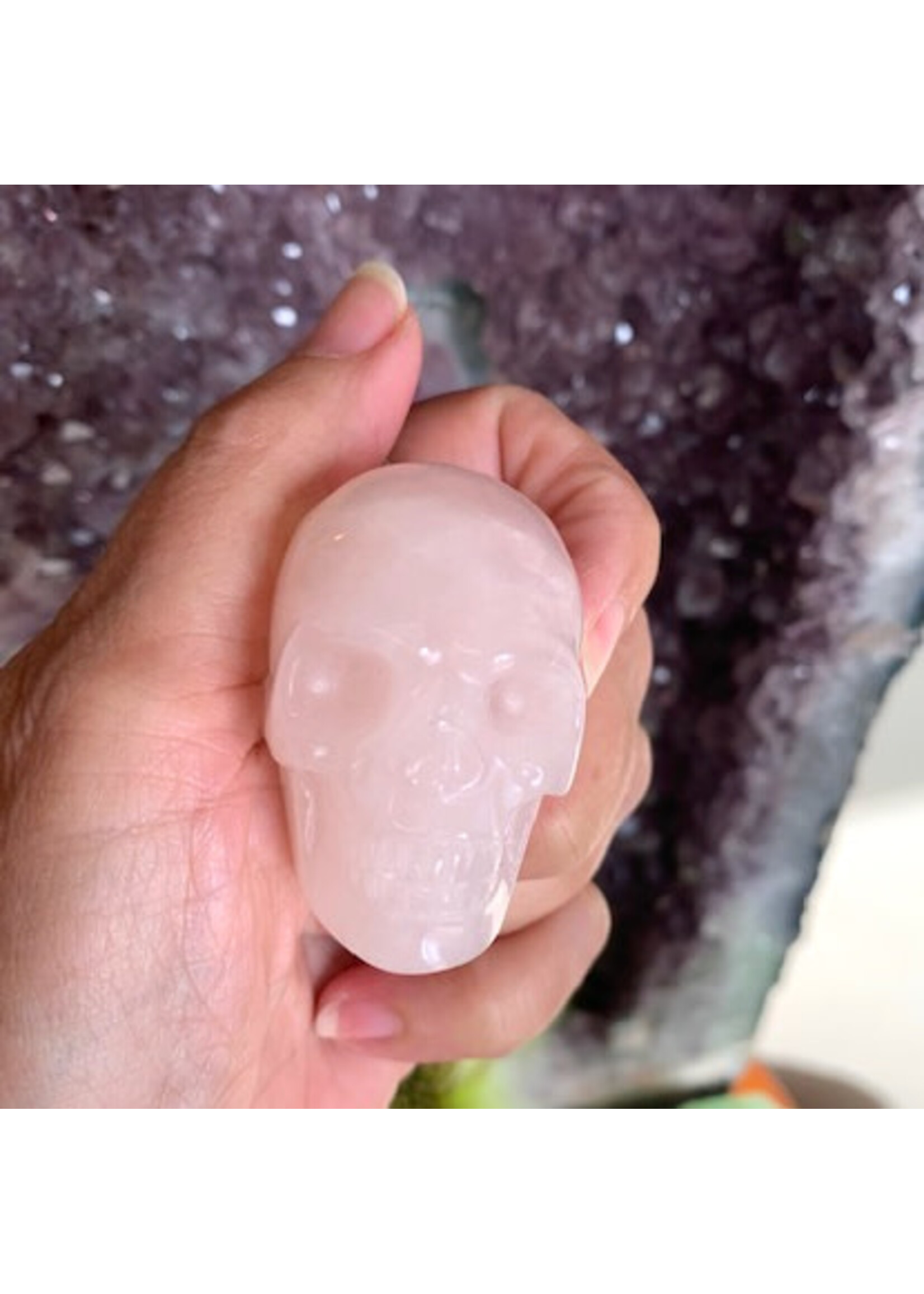 Skulls for ancient wisdom