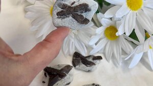 Staurolite - The Fairy Stone Staurolite - The Fairy Stone
