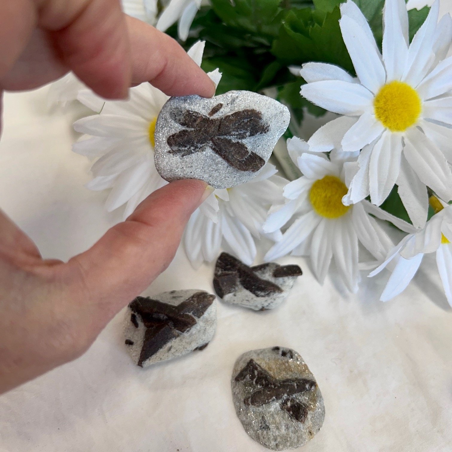 Staurolite - The Fairy Stone