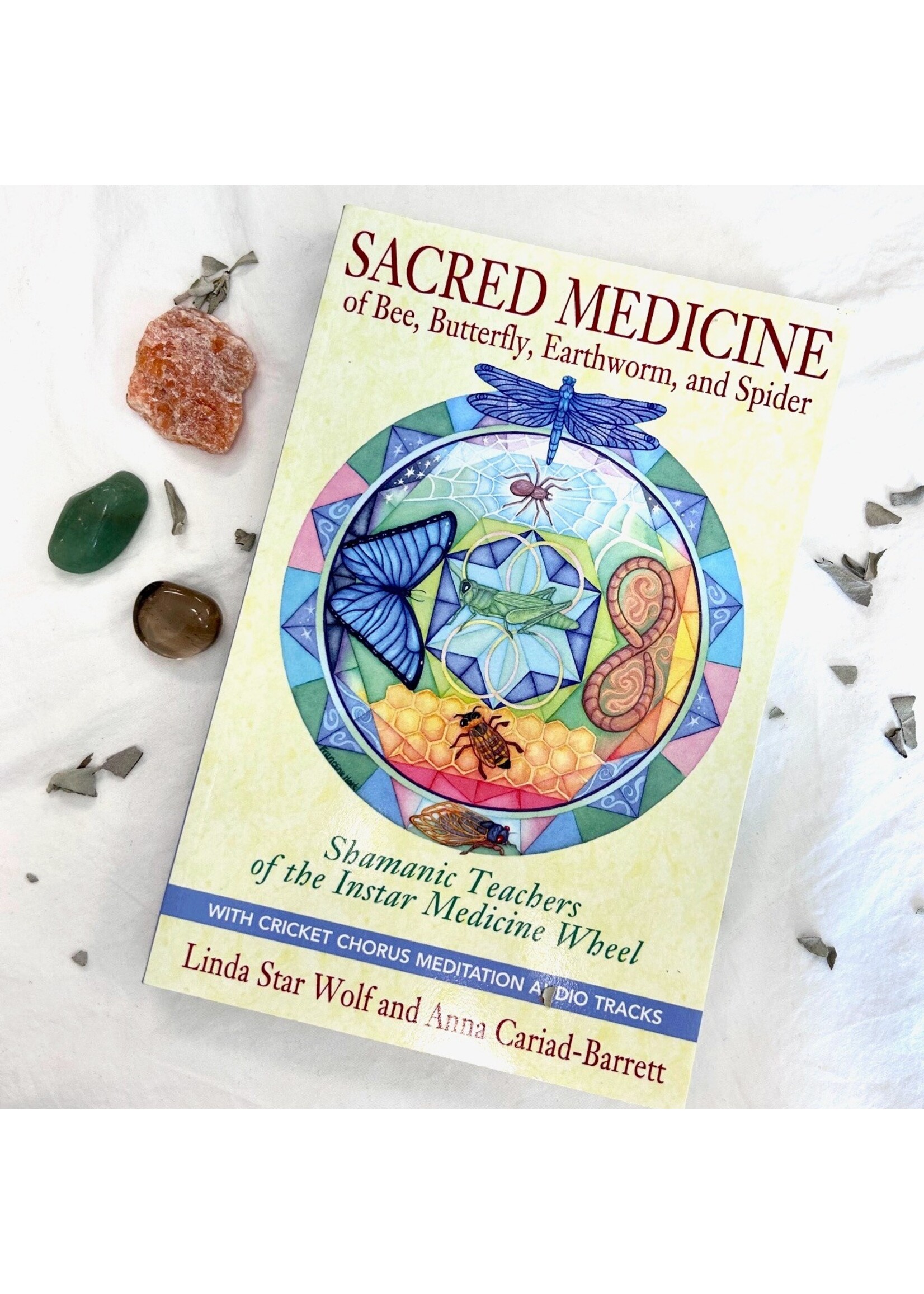 Sacred Medicine of Bee, Butterfly, Earthworm and Spider