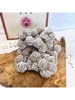 Desert Rose Clusters