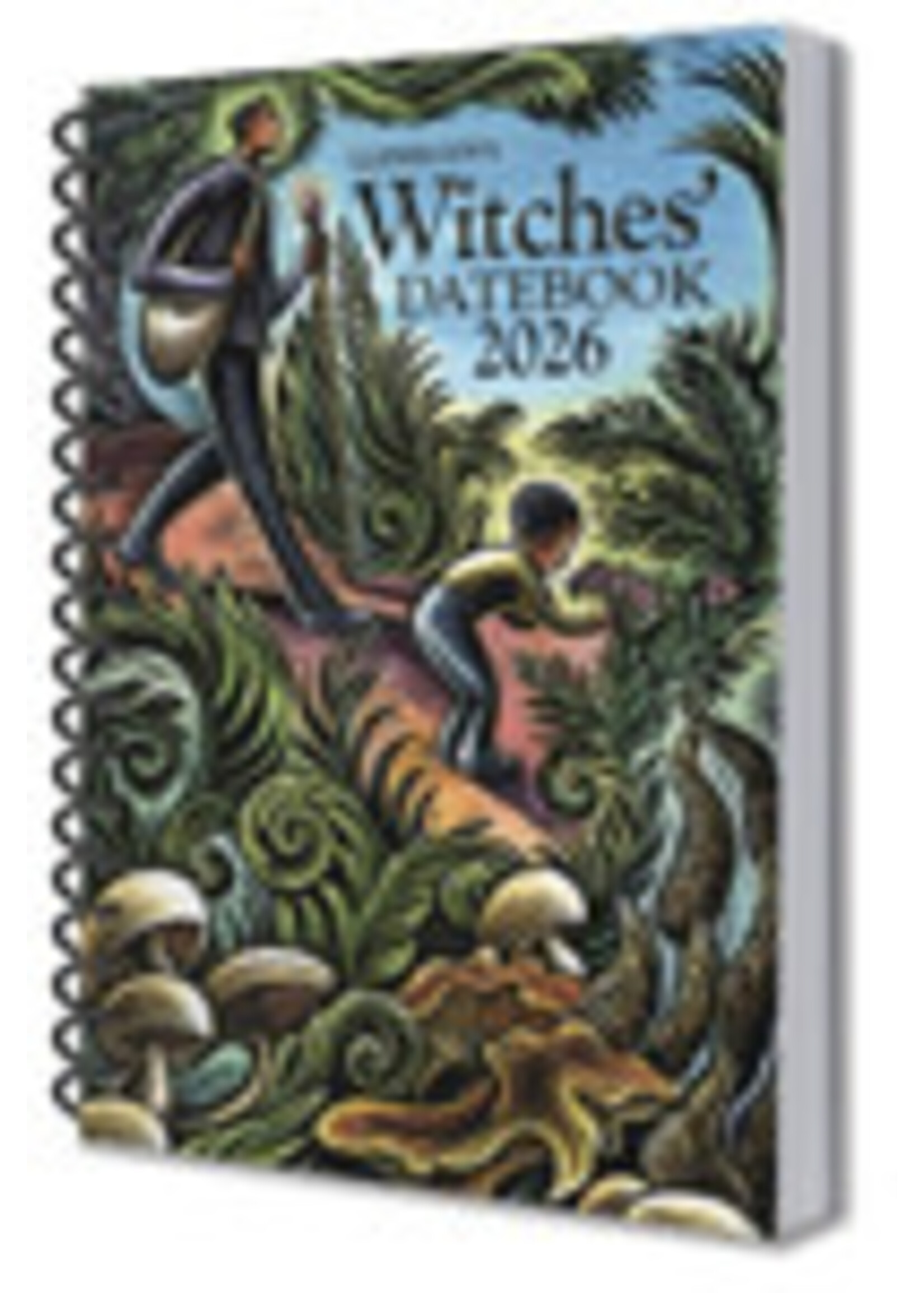 Llewellyn's Witches’ Spiral Datebook 2026