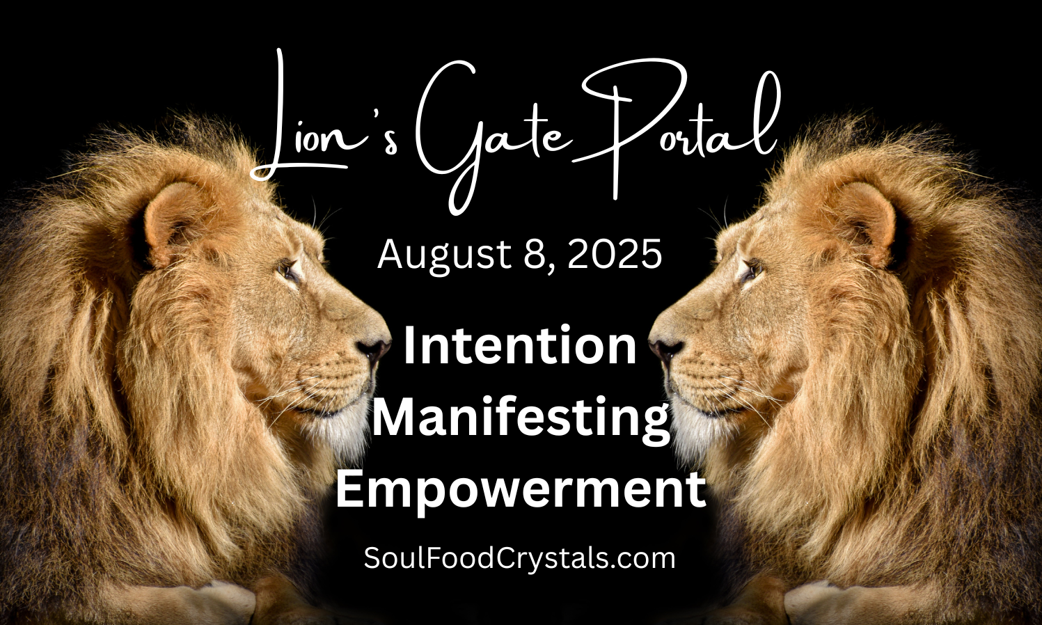 Lion's Gate Portal For Powerful Intentions