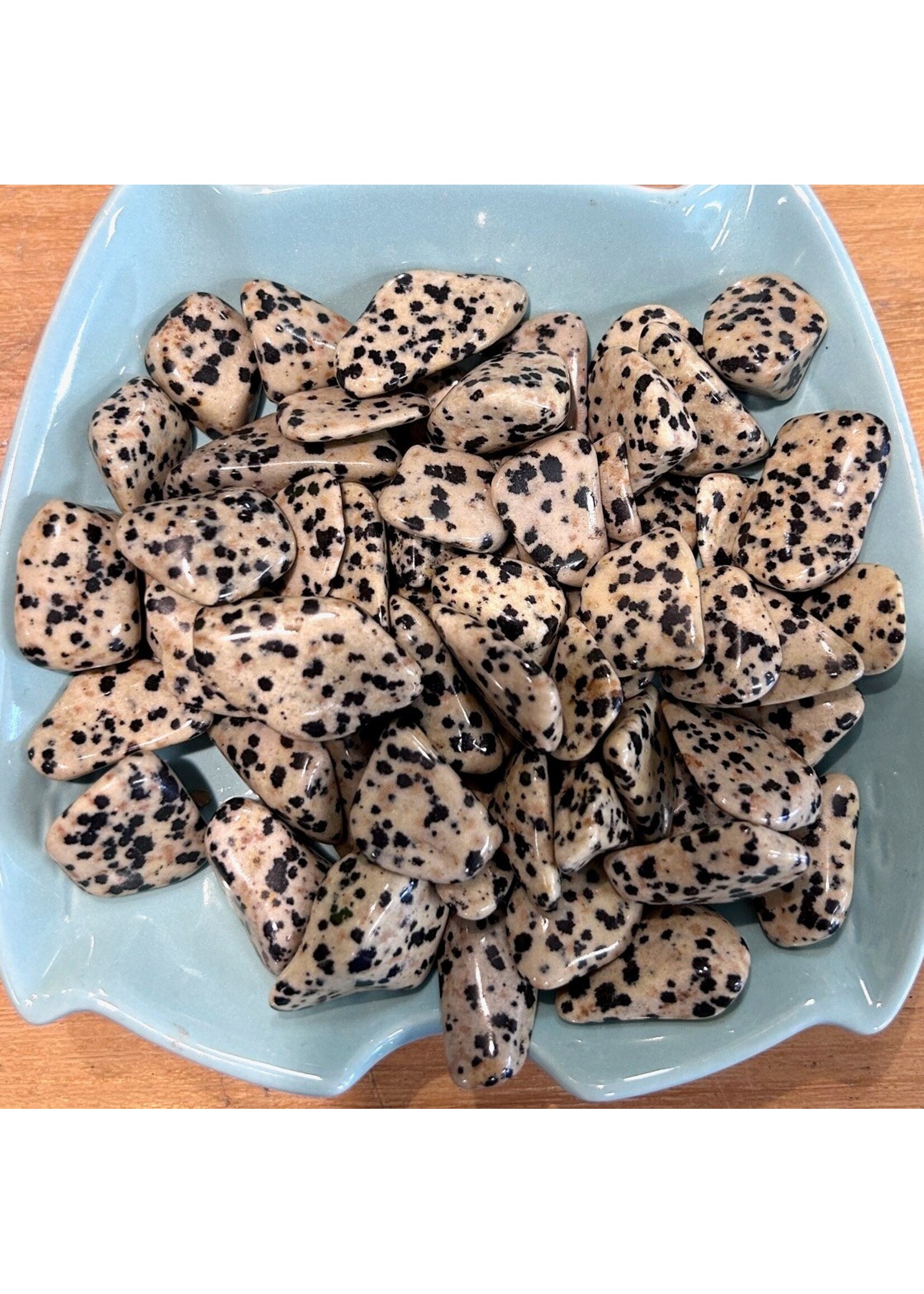 Dalmatian Stone Tumbled