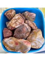 Bird's Eye Jasper Tumbled