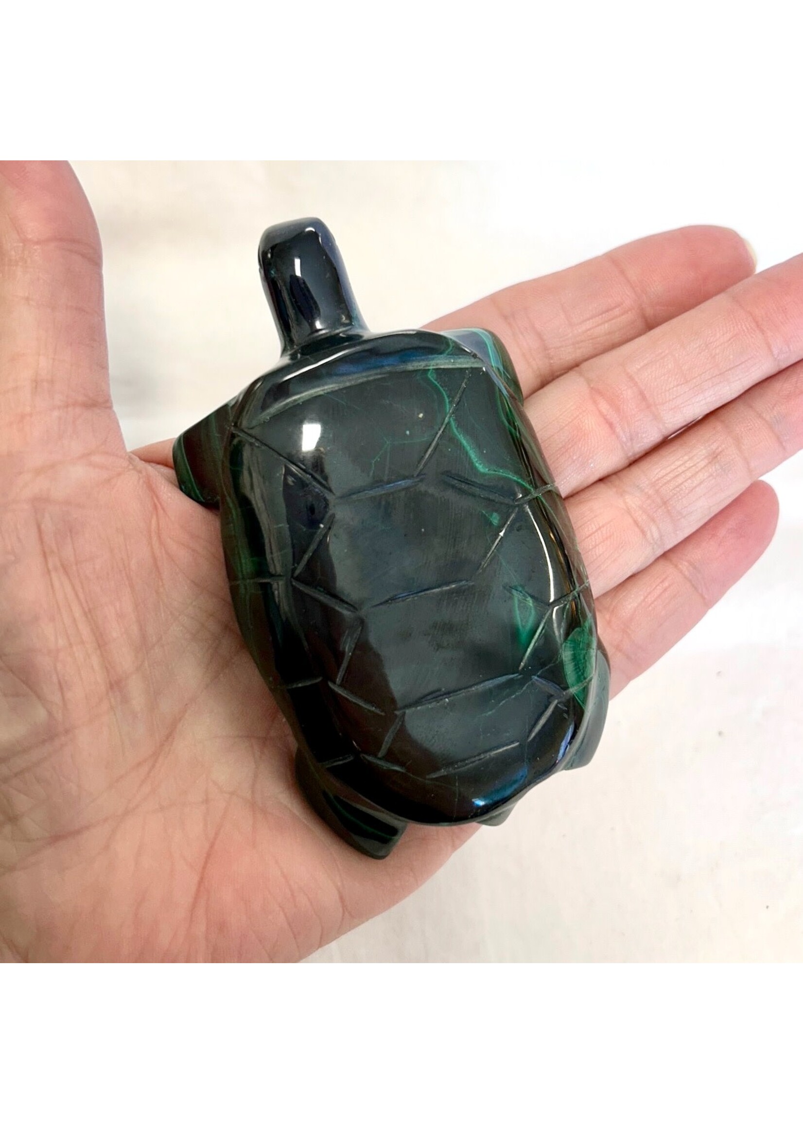 Malachite Turtles to go at your own pace