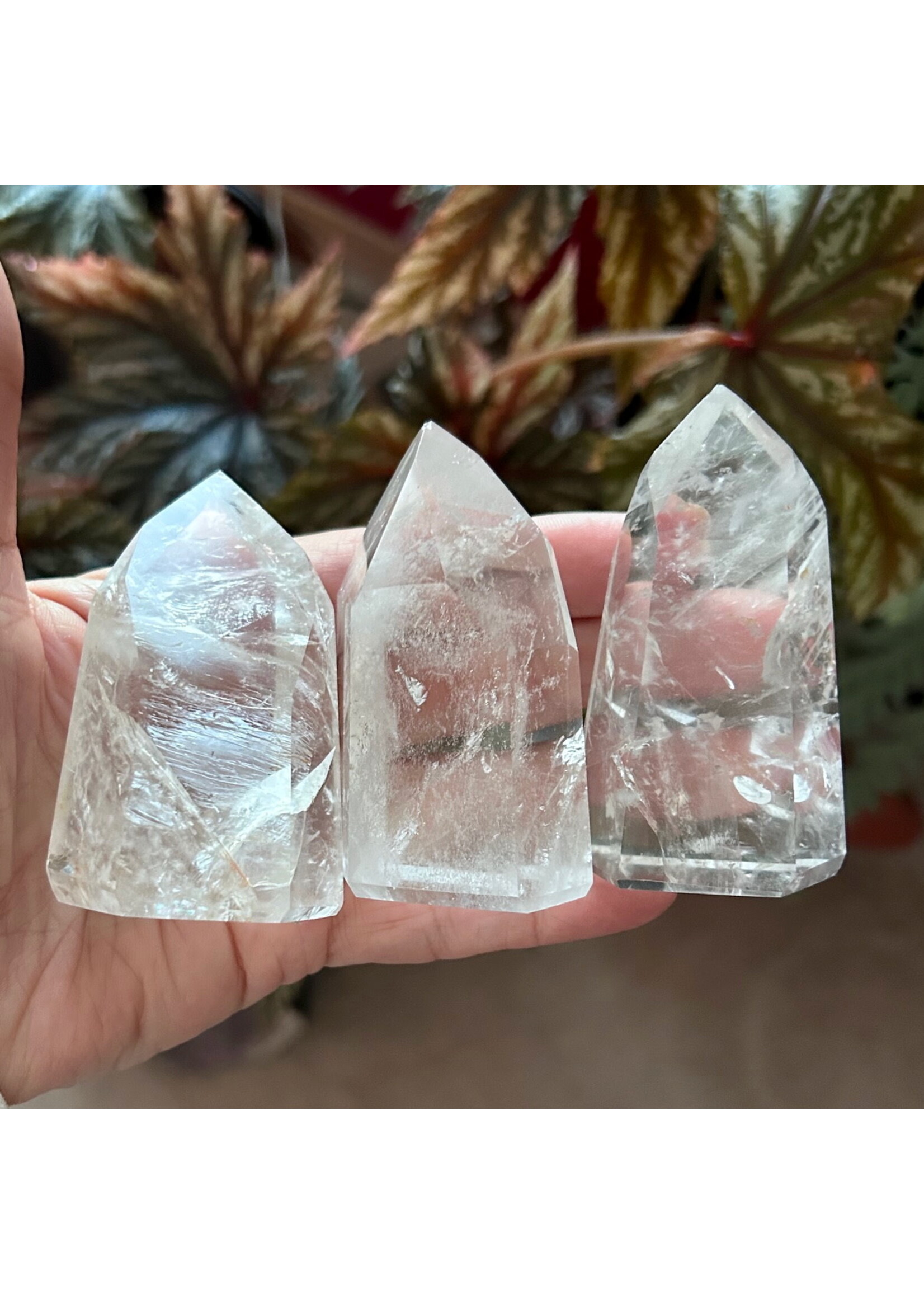 Quartz Generators Fairy Lights