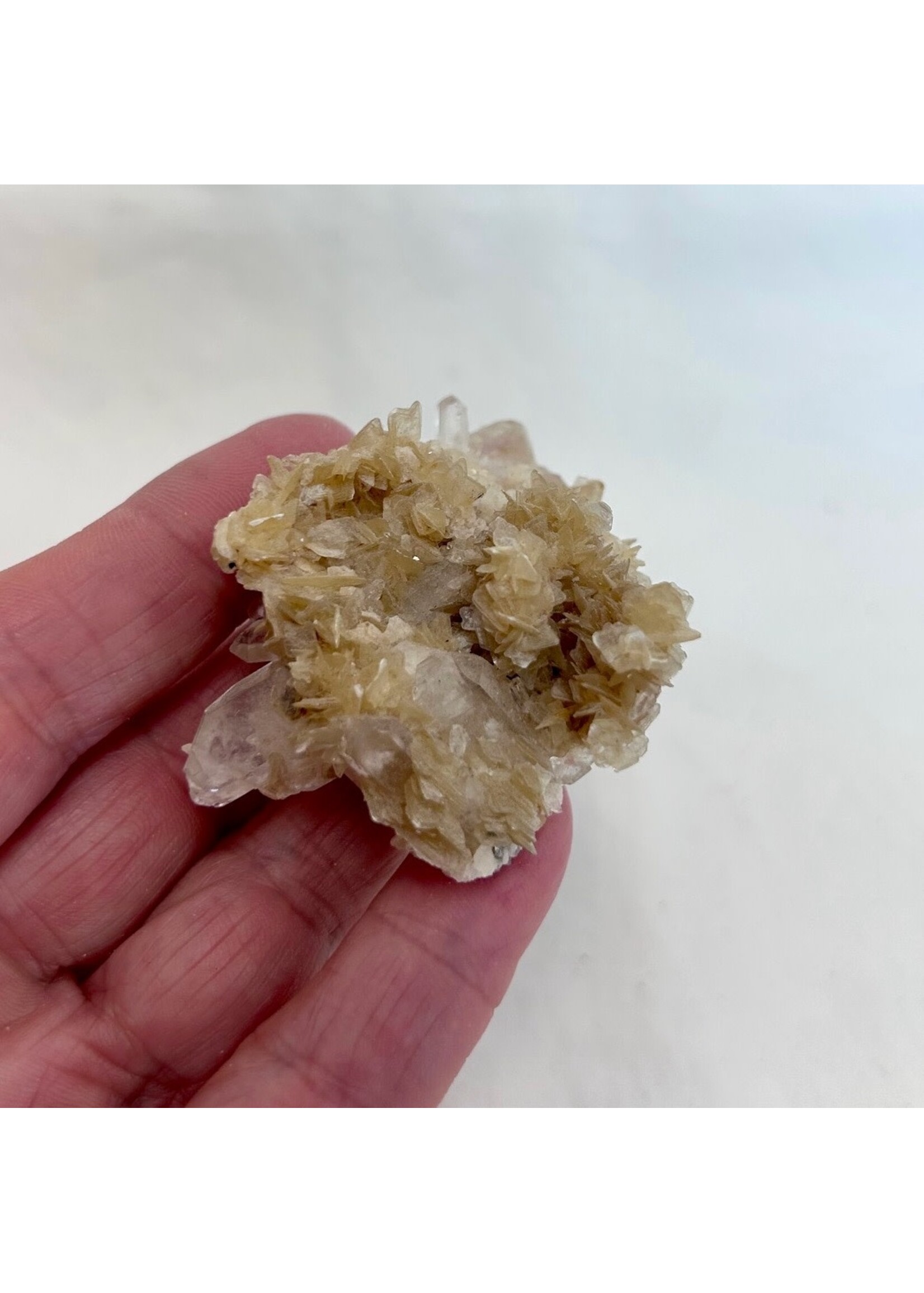 Quartz with Star Mica