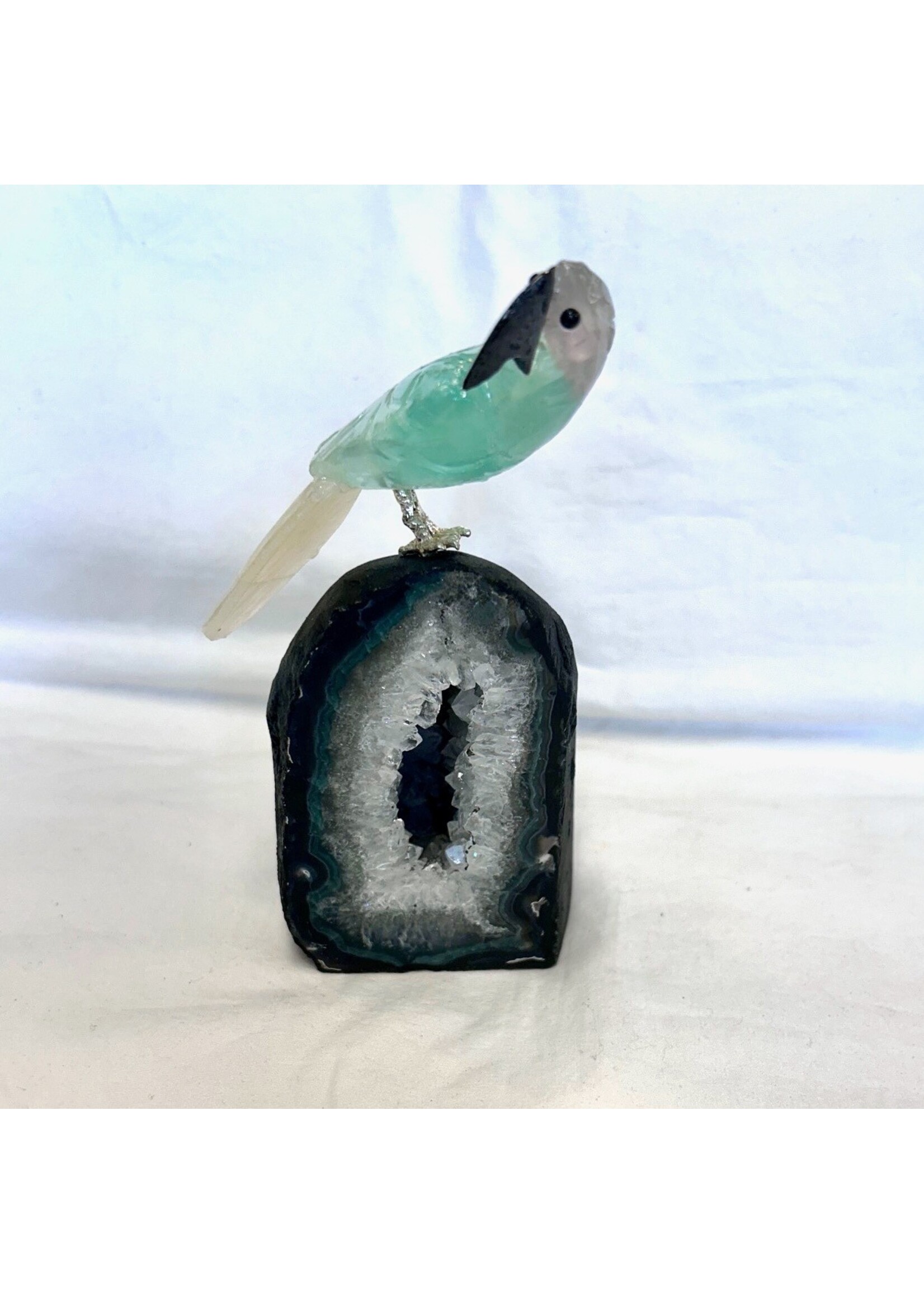 Baby Geode with Parrot