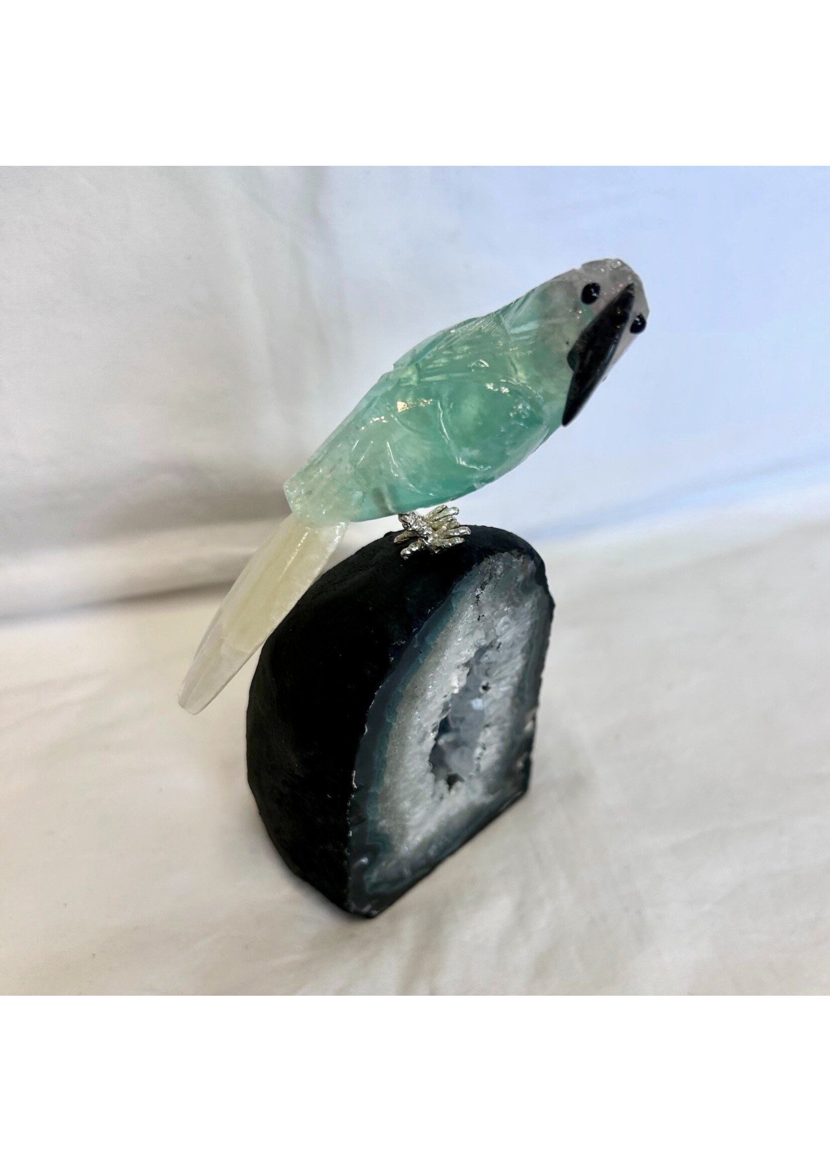 Baby Geode with Parrot