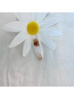 Phenakite Golden (rare)