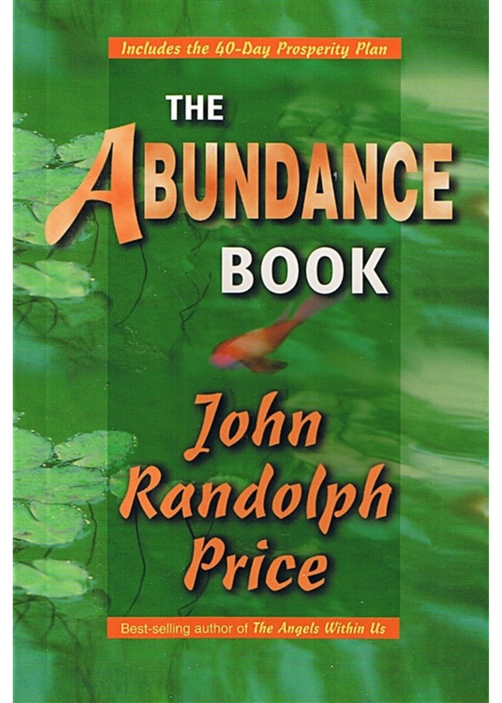 Abundance Book