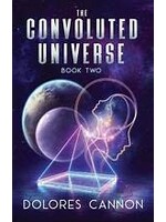 Convoluted Universe Book Two