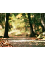 Soul Retrieval:  A Guided Journey to Wholeness