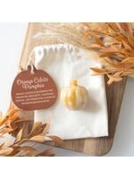 Orange Calcite Pumpkin with bag