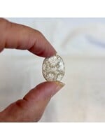 Fossilized Coral Polished