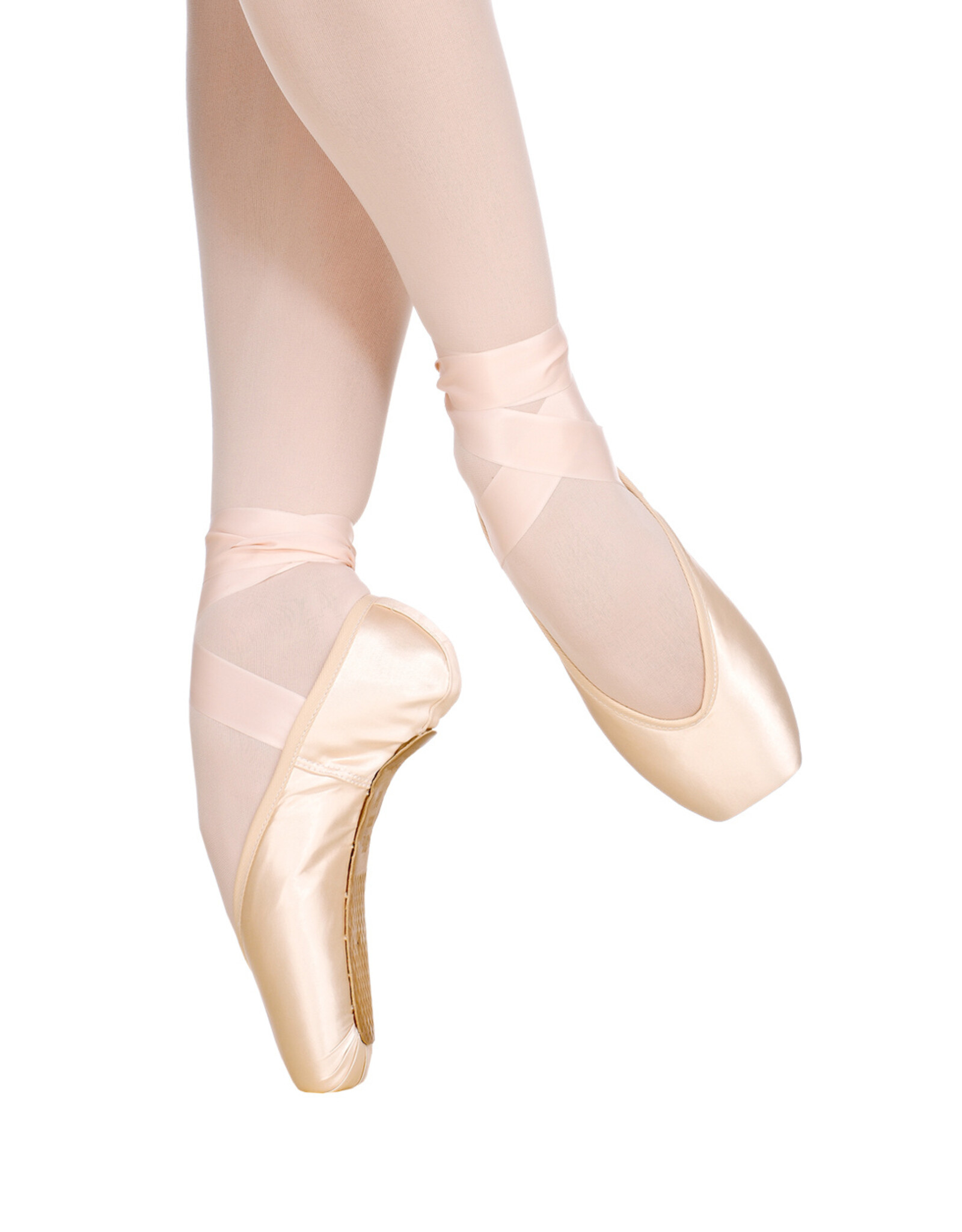 Nikolay Nikolay Elite Hard Pointe Shoe (DISCONTINUED)