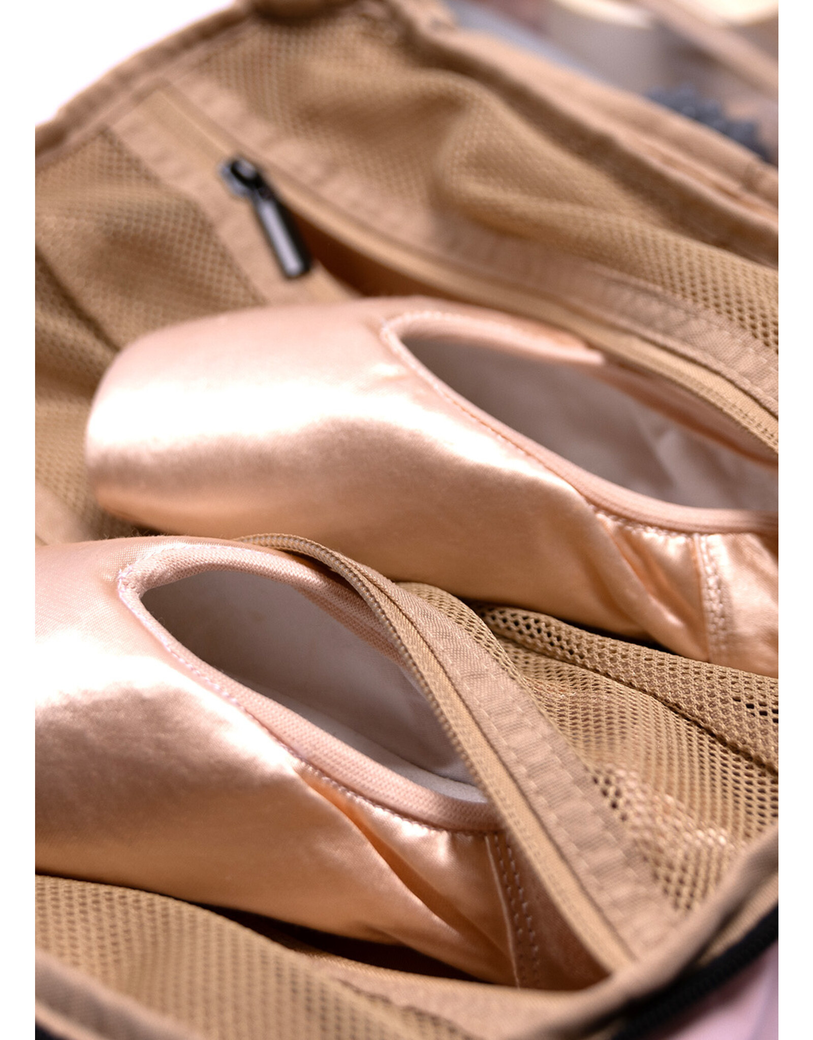 Nikolay Pointe Shoe Marvel (BC003BAN)