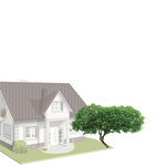 Small Canopy 20' or Smaller