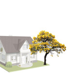 Medium Canopy 20'-30'