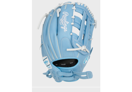 R9 SB120-6CB Fastpitch 12 in 