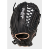R9 SB120-4B Fastpitch 12 in