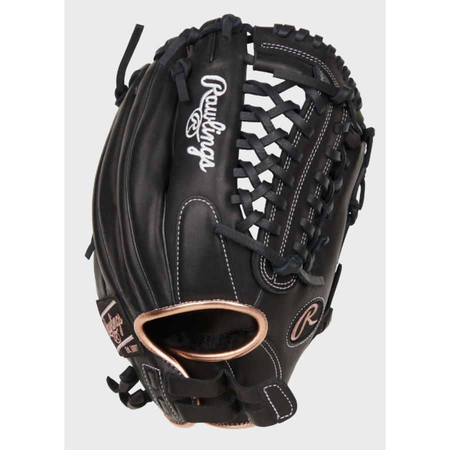 R9 SB120-4B Fastpitch 12 in