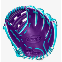 A2000 Winter 2024 DW5 Teal/Purple 12 in