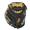 All-Star All Star Future Star Series Catchers Glove LHT