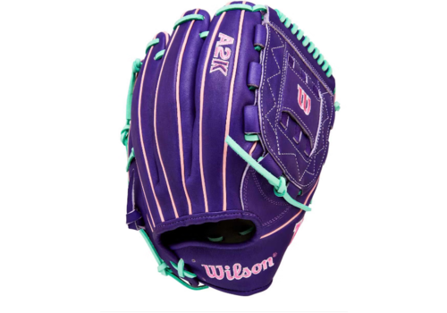 A2K Fall 2025 C12 ASO Web Purple 12 in 