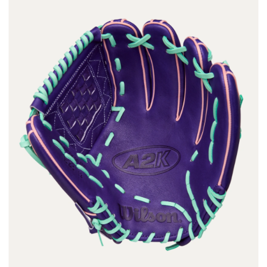 A2K Fall 2025 C12 ASO Web Purple 12 in