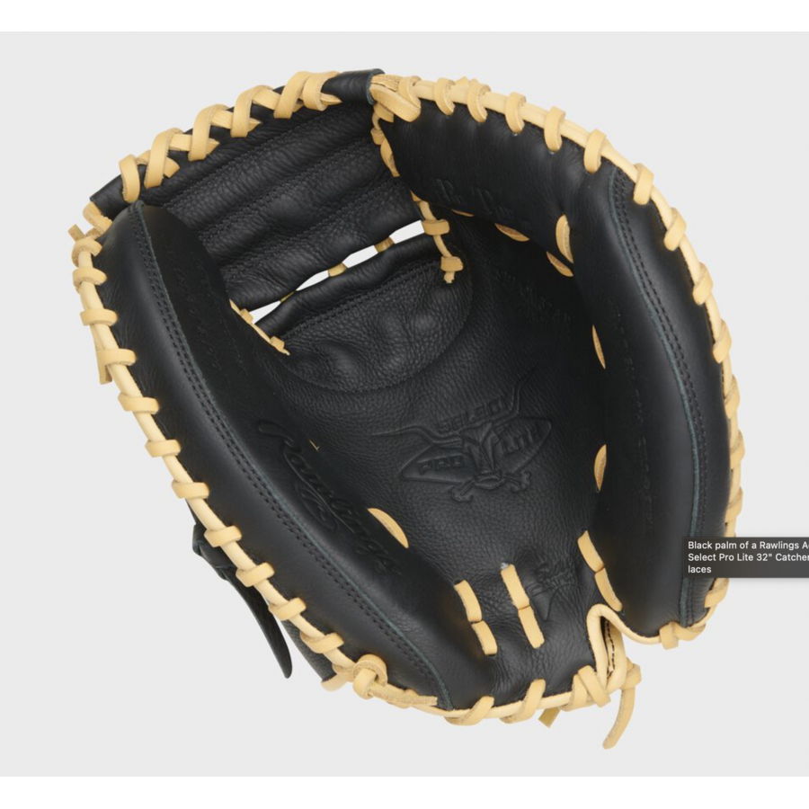 Select Pro Lite SPLCM32AR 32 in