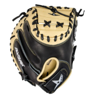 33.5 Anvil Weighted Training Mitt