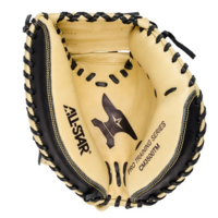 33.5 Anvil Weighted Training Mitt