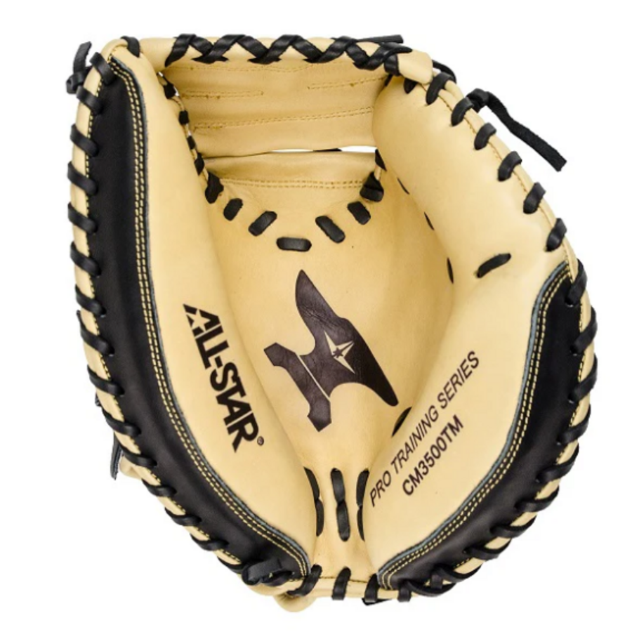 33.5 Anvil Weighted Training Mitt