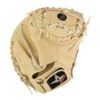 Pro Elite 34 in Catchers Mitt