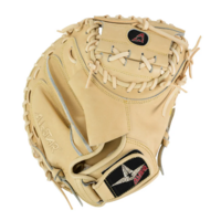 Pro Elite 34 in Catchers Mitt