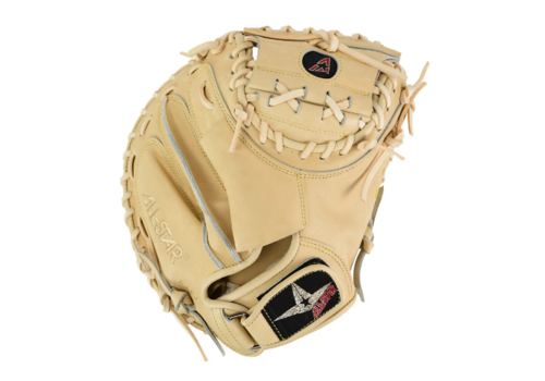 Pro Elite 34 in Catchers Mitt 