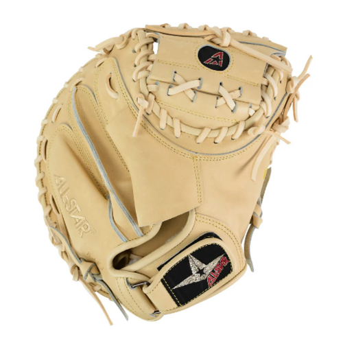 Pro Elite 34 in Catchers Mitt 