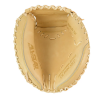 Pro Elite 34 in Catchers Mitt