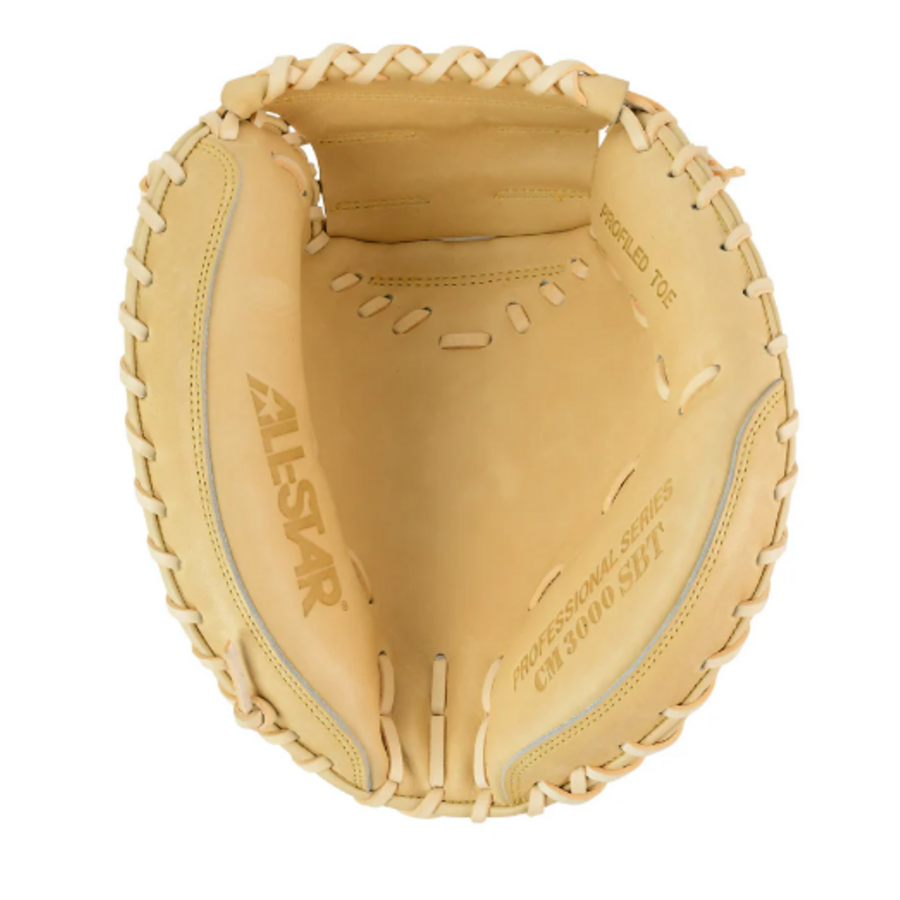 Pro Elite 34 in Catchers Mitt