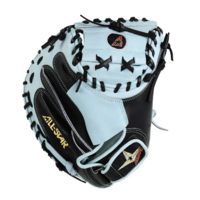 Pro Elite 34 in Catchers Mitt