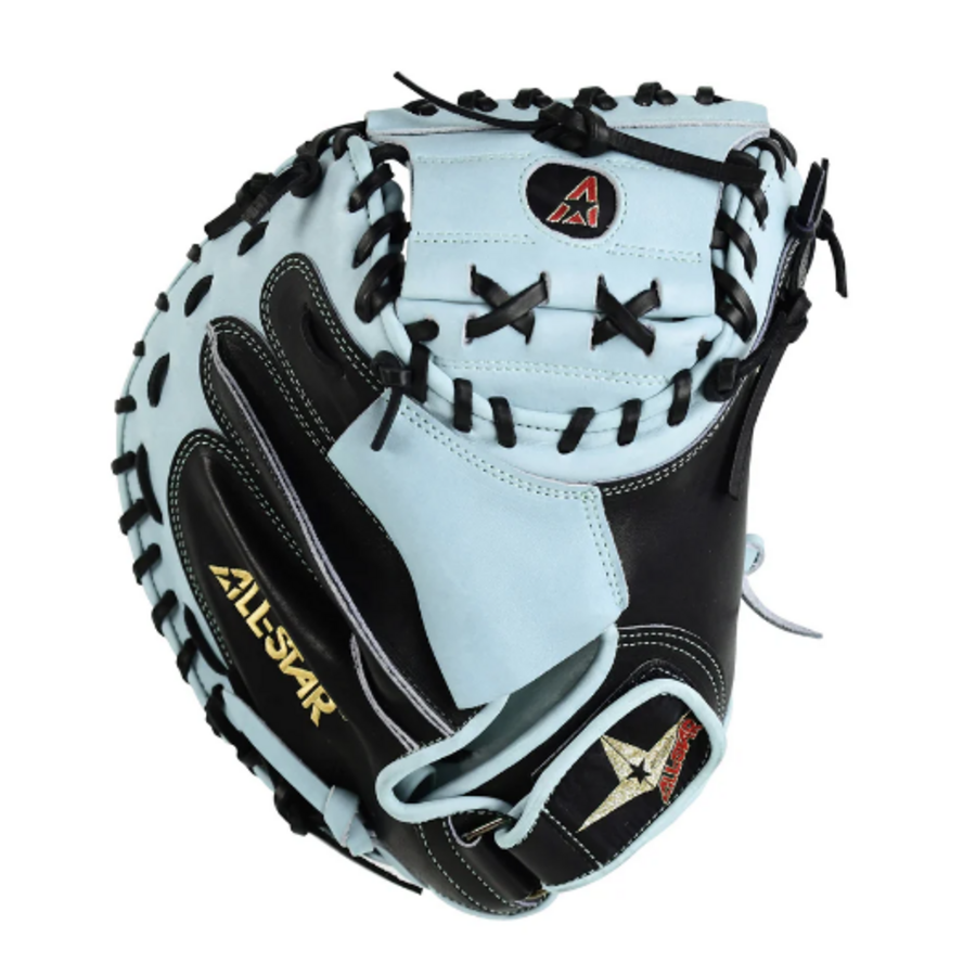 Pro Elite 34 in Catchers Mitt