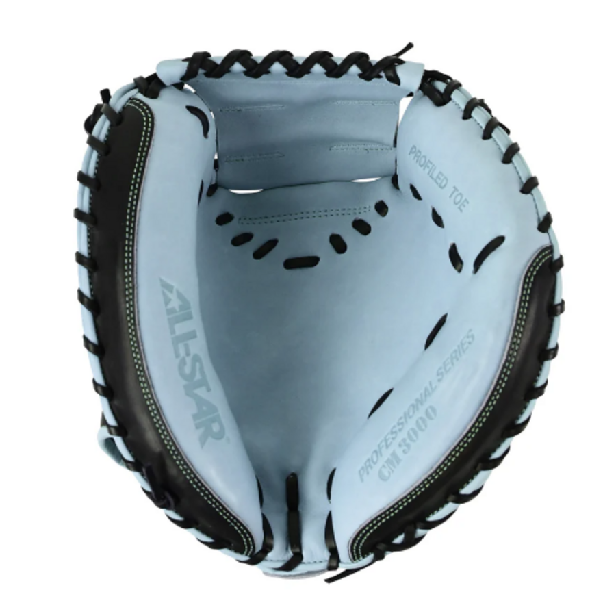 Pro Elite 34 in Catchers Mitt