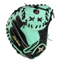 Pro Elite 34 in Catchers Mitt