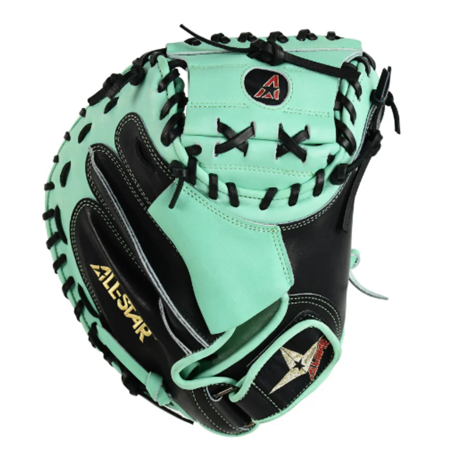 Pro Elite 34 in Catchers Mitt