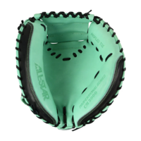 Pro Elite 34 in Catchers Mitt