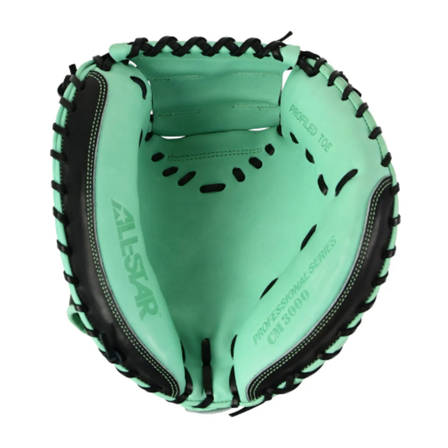 Pro Elite 34 in Catchers Mitt