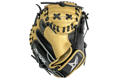 Mini Anvil Training Mitt 29 in 